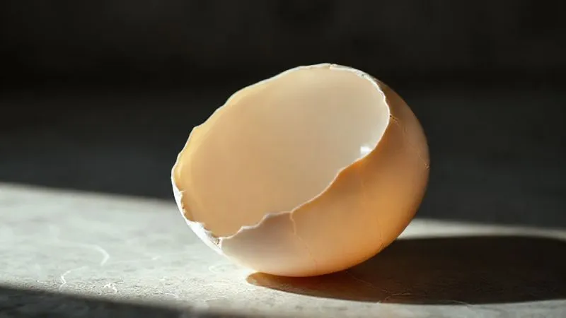 A photorealistic image of a cracked porcelain eggshell, with a delicate, luminous crack spreading across its surface, symbolizing fragility and the 'eggshell skull' legal principle. Cinematic lighting creates a dramatic shadow, sharp focus on the crack, depth of field blurring a subtle legal backdrop. Professional photography, 8K, shot on a high-end DSLR.